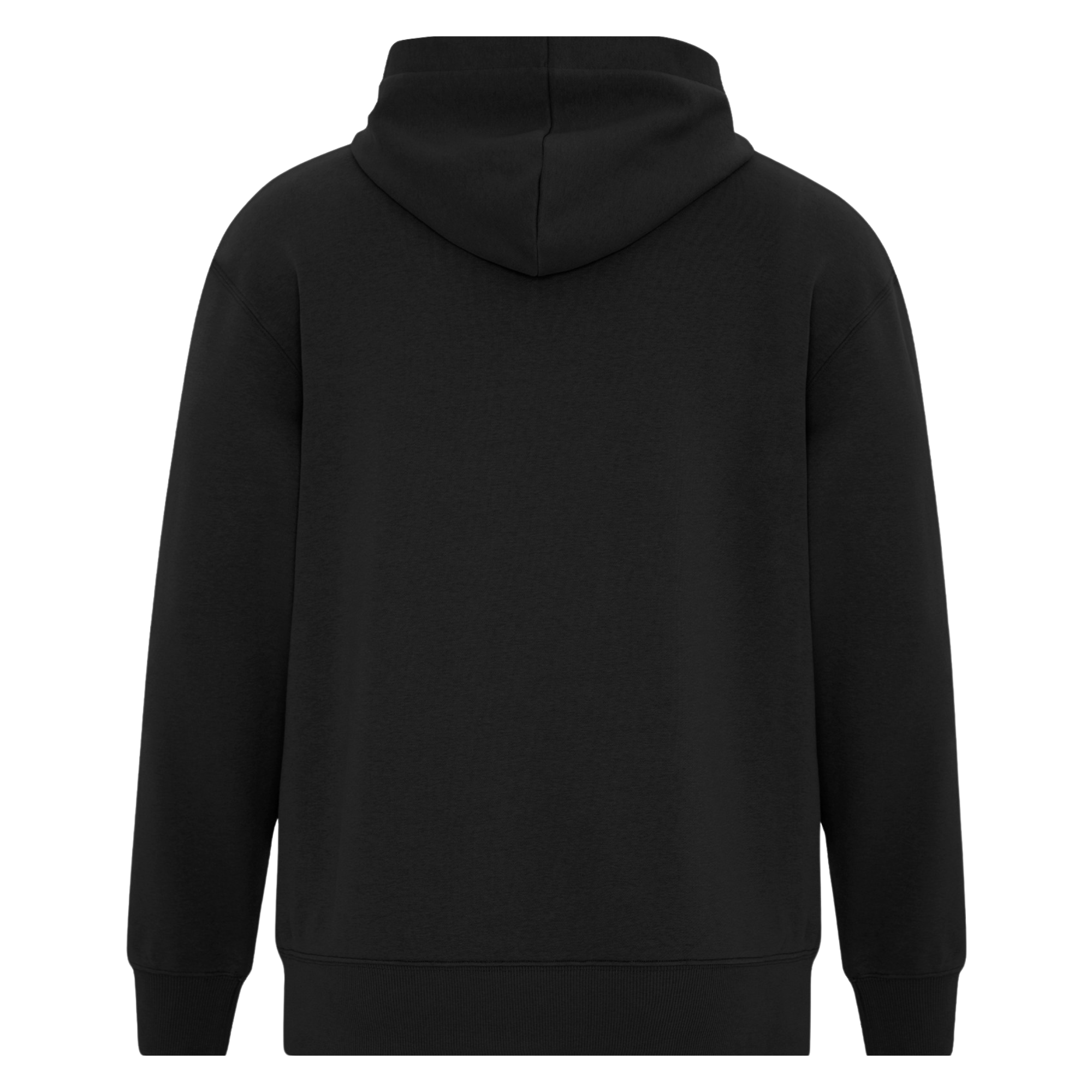 Hoodie "WESAURA" Classic